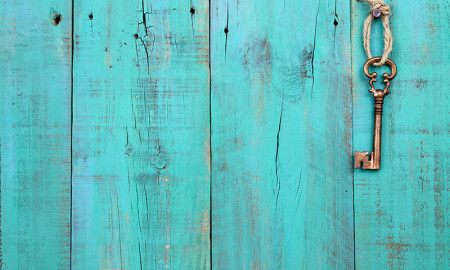 tealdoor tealdoor